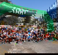 Coffs Harbour Running Festival - Accommodation Sydney