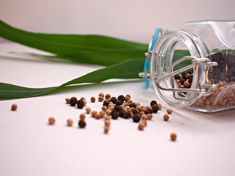 Cooking With Australian Indigenous Spices Cooking Class - Accommodation Sydney 0