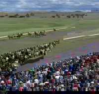 Cooma Sundowners Cup - Accommodation Sydney