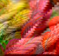 Creative Fibre - Accommodation Sydney