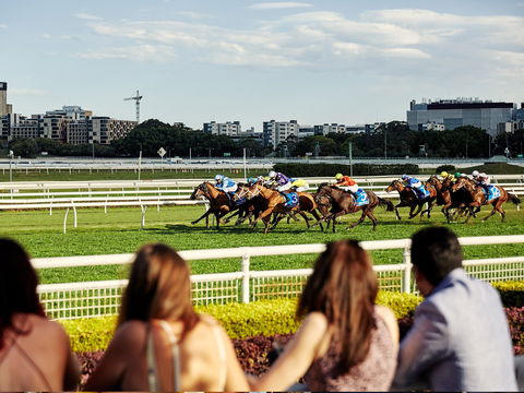 Cup Day - Accommodation Sydney 1
