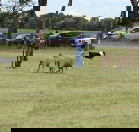 Dean Sheepdog Trials - Old Sniff Classic - Accommodation Sydney