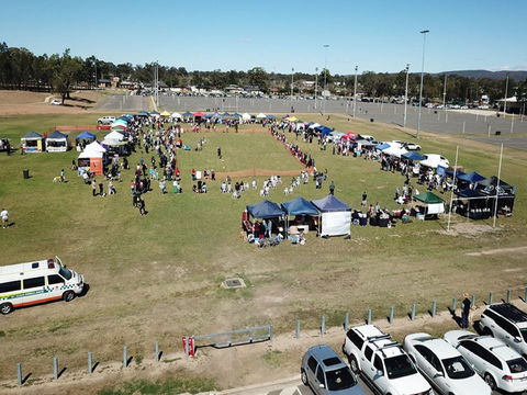 Dogs In The Park Swansea - Accommodation Sydney 0