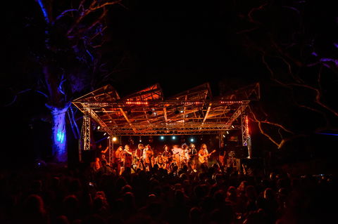 Field Good Festival - Accommodation Sydney 1