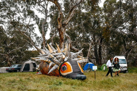 Field Good Festival - Accommodation Sydney 2