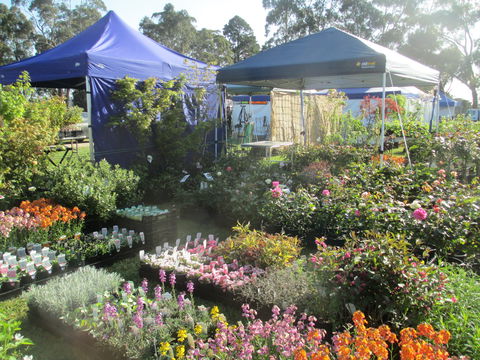 Gippsland Garden And Home Expo-Drouin Lions Club - Sydney 4u 1