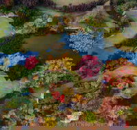 Glenrock Gardens Open Garden - Accommodation Sydney