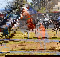 Glen Innes Pastoral and Agricultural Show - Accommodation Sydney