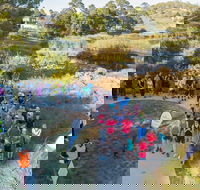 Goulburn Parkrun - Accommodation Sydney