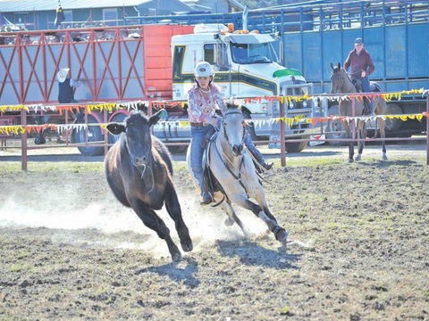 Gresford  Campdraft And Rodeo - Sydney 4u 0