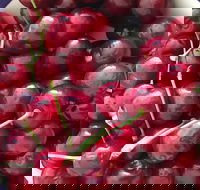 Griffith Rotary Market - Accommodation Sydney