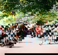 Hahndorf Christkindlmarkt - Accommodation Sydney