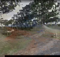 Hartwood Campfires and Country Music - Accommodation Sydney