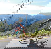 High Country Women's Cycling Festival - Accommodation Sydney