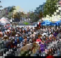 Hunter Valley Caravan Camping 4WD Fish and Boat Show - Accommodation Sydney