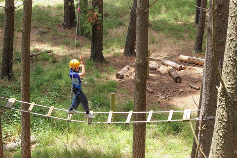July 2020 Holidays- Go Wild At The Mt Lofty Adventure Hub - Accommodation Sydney 0