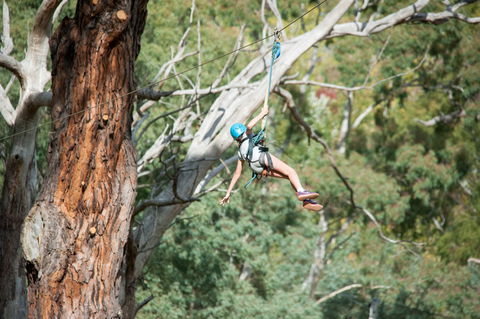 July 2020 Holidays- Go Wild At The Mt Lofty Adventure Hub - Accommodation Sydney 1