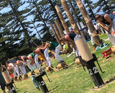 Kiama Show - Accommodation Sydney 1