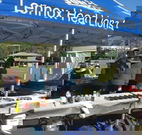 Lennox Community Markets - Accommodation Sydney