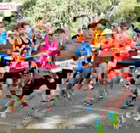 MAAS Group Dubbo Stampede Running Festival - Accommodation Sydney