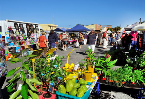 Maclean Macmarket Day - Accommodation Sydney 0