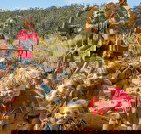 Mini Muddies Obstacle Challenge at Bunnamagoo Estate - Accommodation Sydney