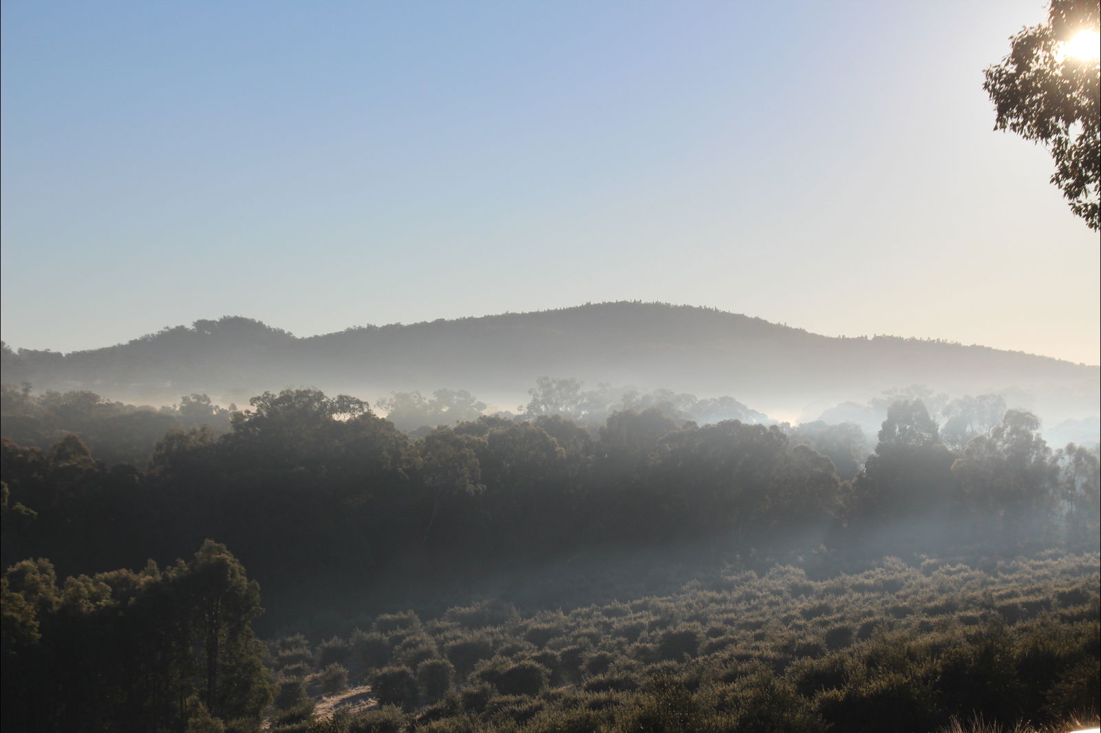 Buckaroo NSW Sydney 4u