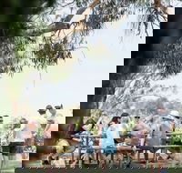 Music on the Murray - Accommodation Sydney