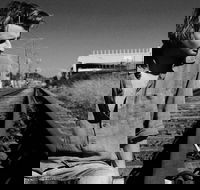 Music in the Gardens - Mitch King - Accommodation Sydney