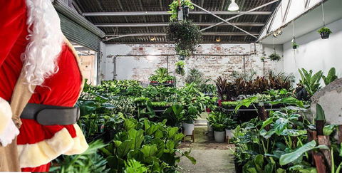 Newcastle - Huge Indoor Plant Warehouse Sale - Christmas Bonanza - Accommodation Sydney 0