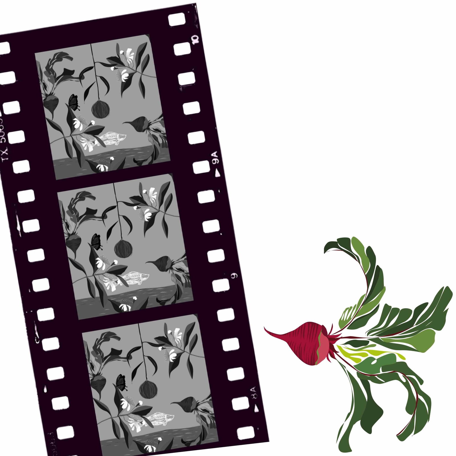 Cairns North QLD Accommodation Sydney