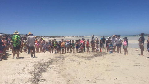 Perlubie Beach Sports Day - Accommodation Sydney 1