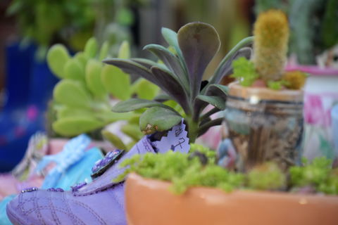 QCWA Sunday Markets - Accommodation Sydney 1