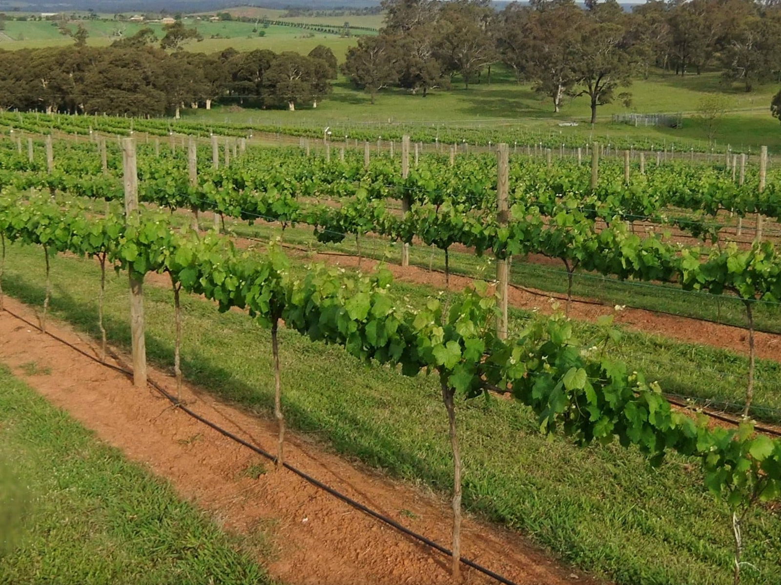 Menangle NSW Accommodation Sydney