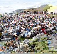 Riverfest Food Wine and Music Festival - Accommodation Sydney