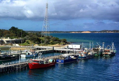 San Remo Fishing Festival - Accommodation Sydney 2