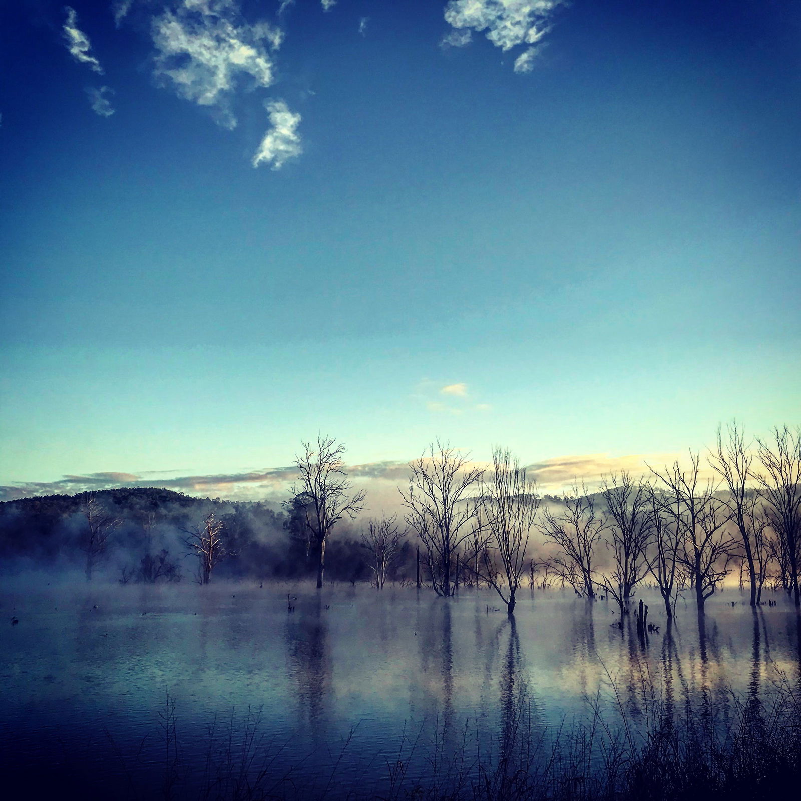 Roadvale QLD Accommodation Sydney