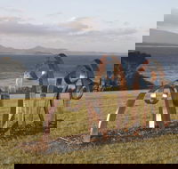 Sculpture Bermagui - Accommodation Sydney