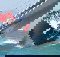 SeaLink Magnetic Island Race Week - Accommodation Sydney
