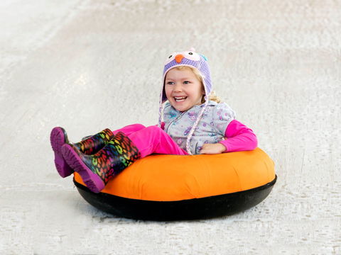 Snow Time In The Garden - Hunter Valley Gardens - Cancelled - Sydney 4u 1