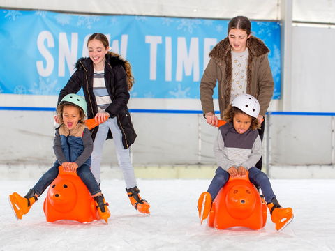 Snow Time In The Garden - Hunter Valley Gardens - Cancelled - Sydney 4u 2