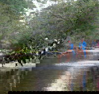 The Man From Snowy River Bush Festival - Accommodation Sydney