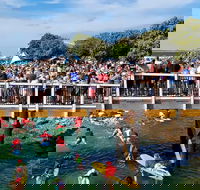 The Crescent Head Santa Surf - Accommodation Sydney