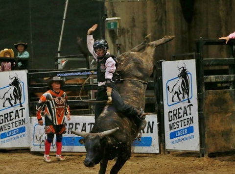 Top Gun And Young Gun Series Round 9 - Accommodation Sydney 1