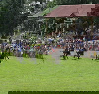 Tumut Boxing Day Races - Sydney 4u