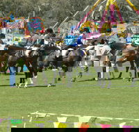 Wangaratta Show - Accommodation Sydney