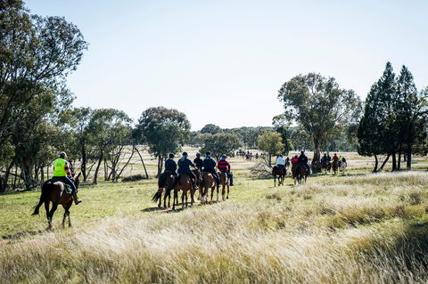 Weddin Mountain Muster - Accommodation Sydney 0