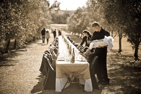 Whispering Brook Olive Long Table Luncheon - Accommodation Sydney 1