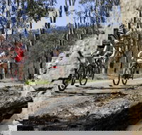 Wollombi Wild Ride Mountain Bike Ride - Accommodation Sydney