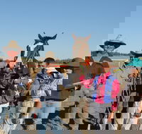 Annual Prairie Races - Accommodation Sydney